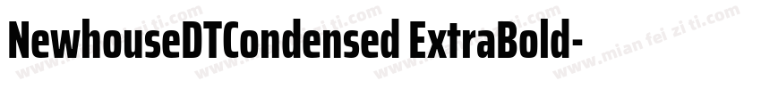 NewhouseDTCondensed ExtraBold字体转换